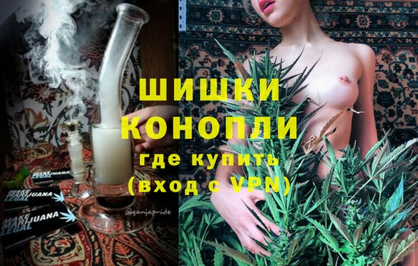 бошки Алексин