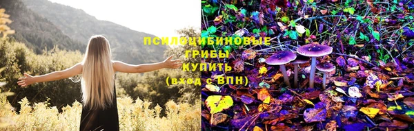 спайс Алексеевка
