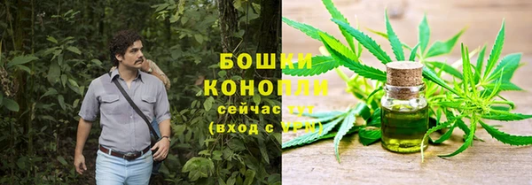 бошки Алексин