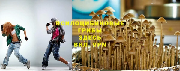 героин Алзамай