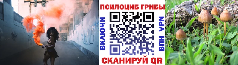 Галлюциногенные грибы мицелий  Геленджик 